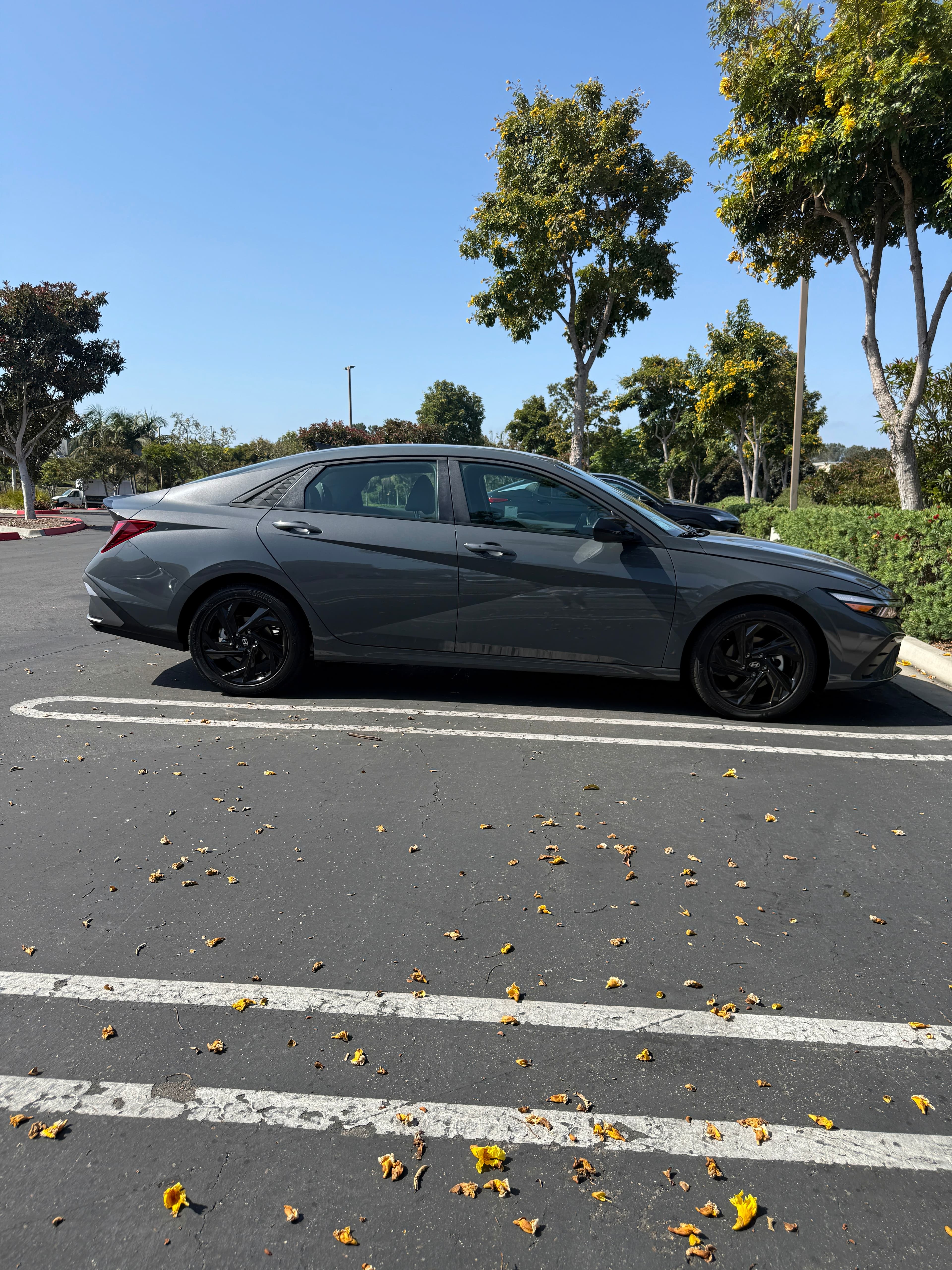 2026 silver Hyundai Elantra