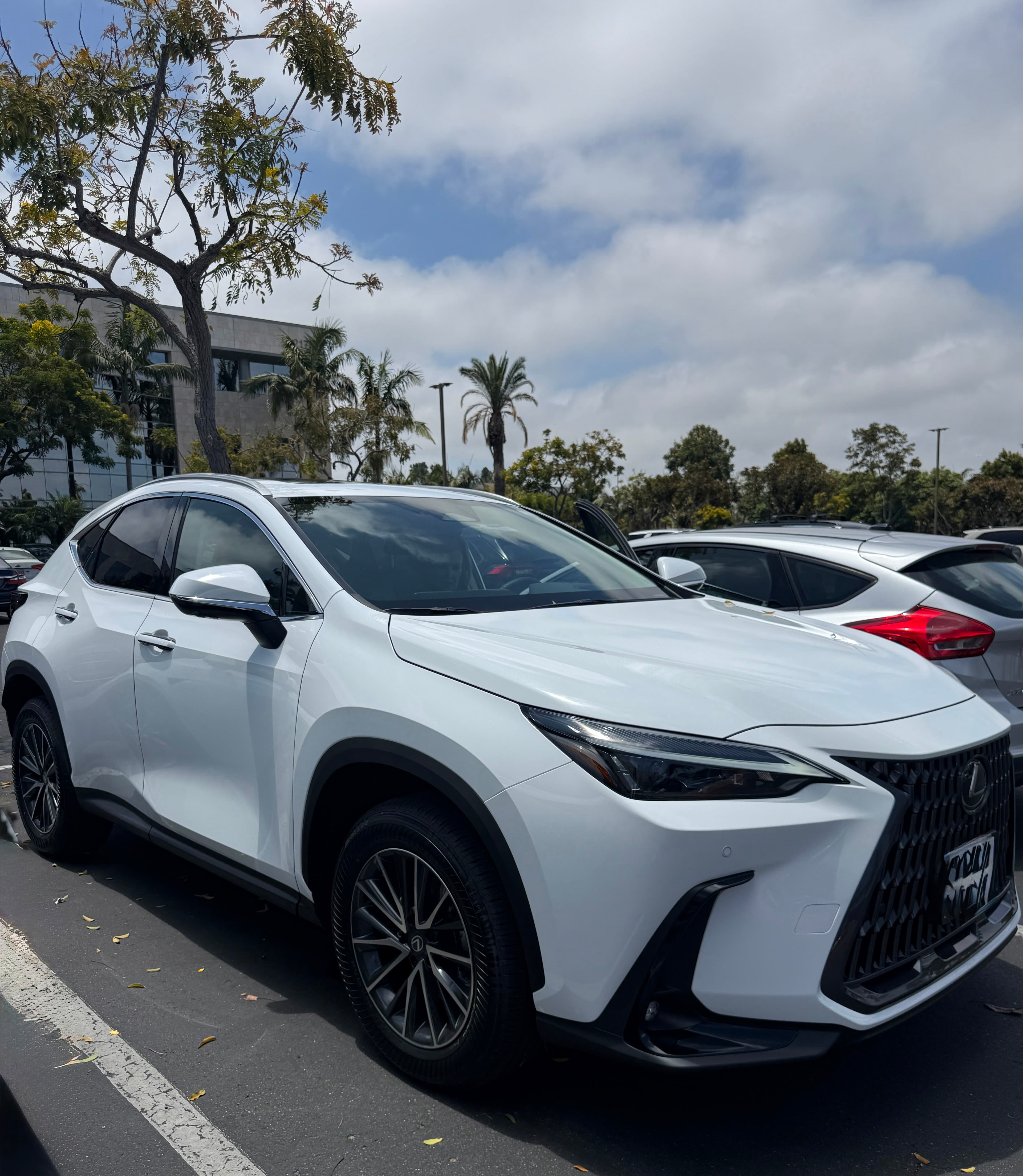 2026 white lexus nx